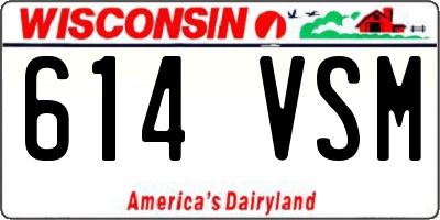 WI license plate 614VSM