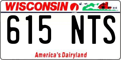 WI license plate 615NTS