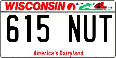 WI license plate 615NUT