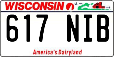 WI license plate 617NIB