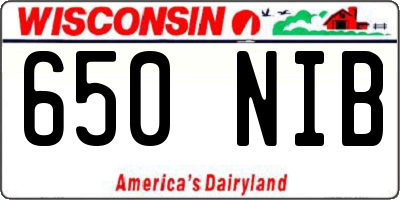 WI license plate 650NIB