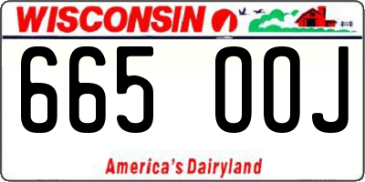 WI license plate 665OOJ
