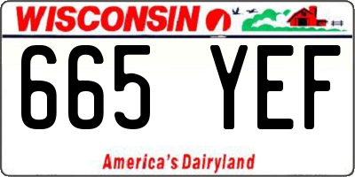 WI license plate 665YEF