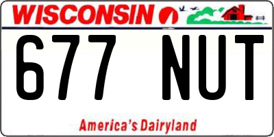 WI license plate 677NUT