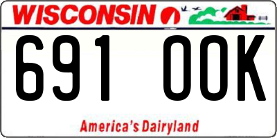 WI license plate 691OOK
