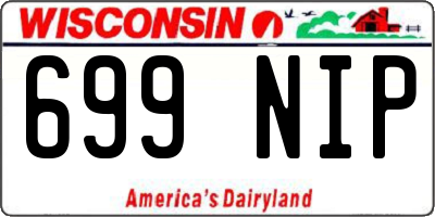 WI license plate 699NIP