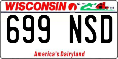 WI license plate 699NSD