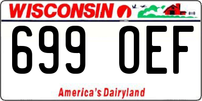 WI license plate 699OEF