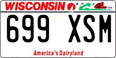 WI license plate 699XSM