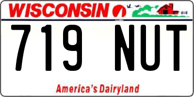 WI license plate 719NUT