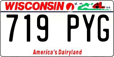 WI license plate 719PYG