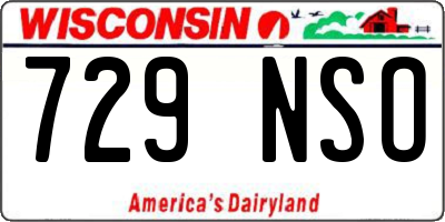 WI license plate 729NSO