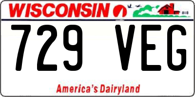 WI license plate 729VEG