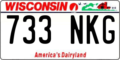 WI license plate 733NKG