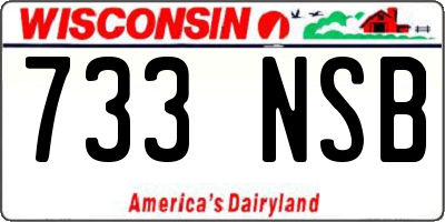 WI license plate 733NSB