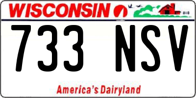 WI license plate 733NSV