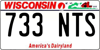 WI license plate 733NTS