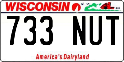 WI license plate 733NUT