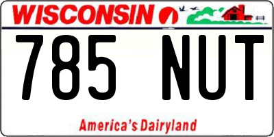 WI license plate 785NUT