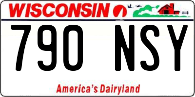 WI license plate 790NSY