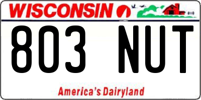 WI license plate 803NUT