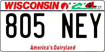 WI license plate 805NEY