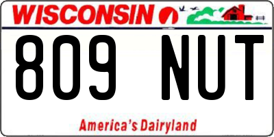 WI license plate 809NUT