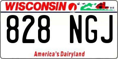 WI license plate 828NGJ