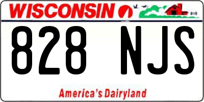 WI license plate 828NJS