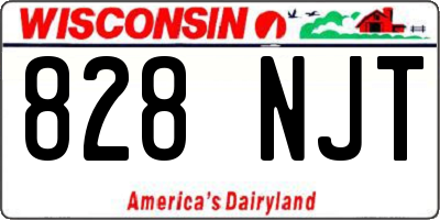 WI license plate 828NJT