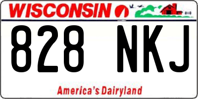 WI license plate 828NKJ