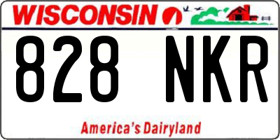WI license plate 828NKR