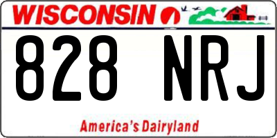 WI license plate 828NRJ