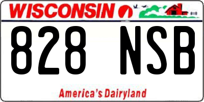 WI license plate 828NSB