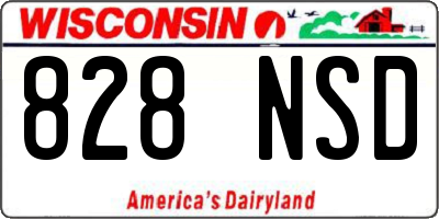 WI license plate 828NSD