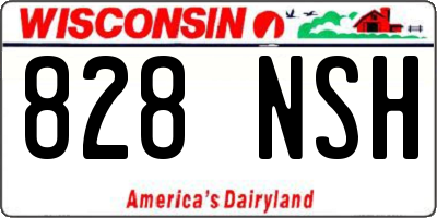 WI license plate 828NSH