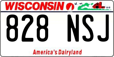 WI license plate 828NSJ