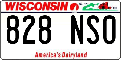 WI license plate 828NSO