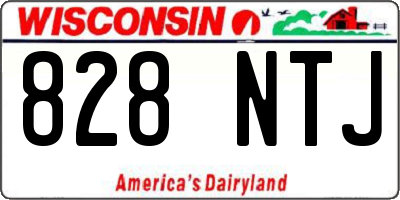 WI license plate 828NTJ