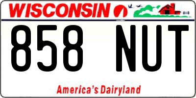 WI license plate 858NUT