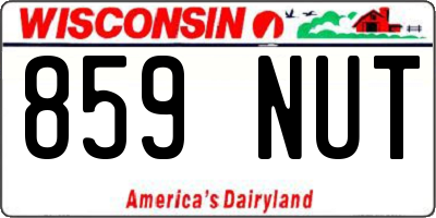 WI license plate 859NUT