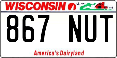 WI license plate 867NUT