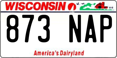 WI license plate 873NAP