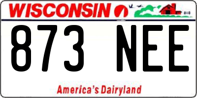 WI license plate 873NEE