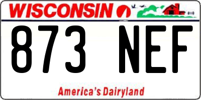 WI license plate 873NEF