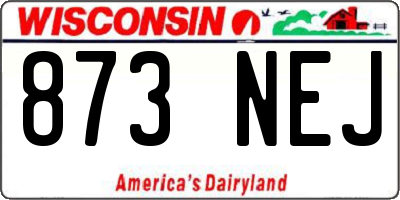 WI license plate 873NEJ