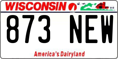 WI license plate 873NEW