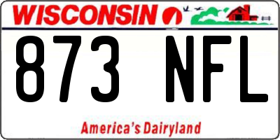 WI license plate 873NFL