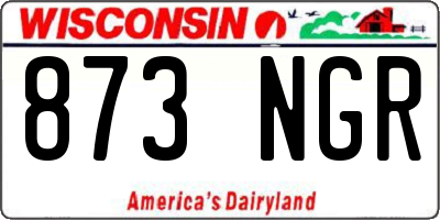 WI license plate 873NGR