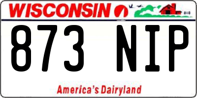 WI license plate 873NIP